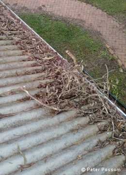 Gutter cleaning to remove leaves and dirt Gutter cleaning to remove leaves and dirt
